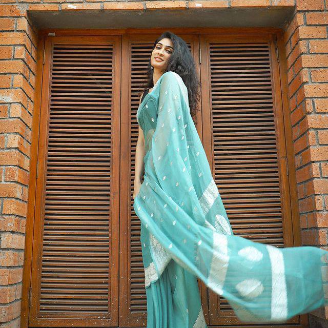 Turquoise Embroidered Saree with White Border