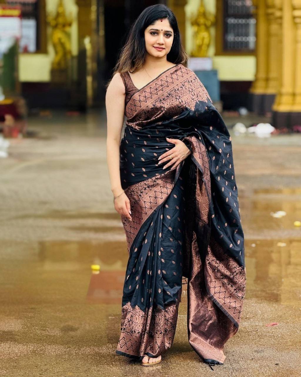 Black Silk Saree with Golden Brocade Work and Rich Border
