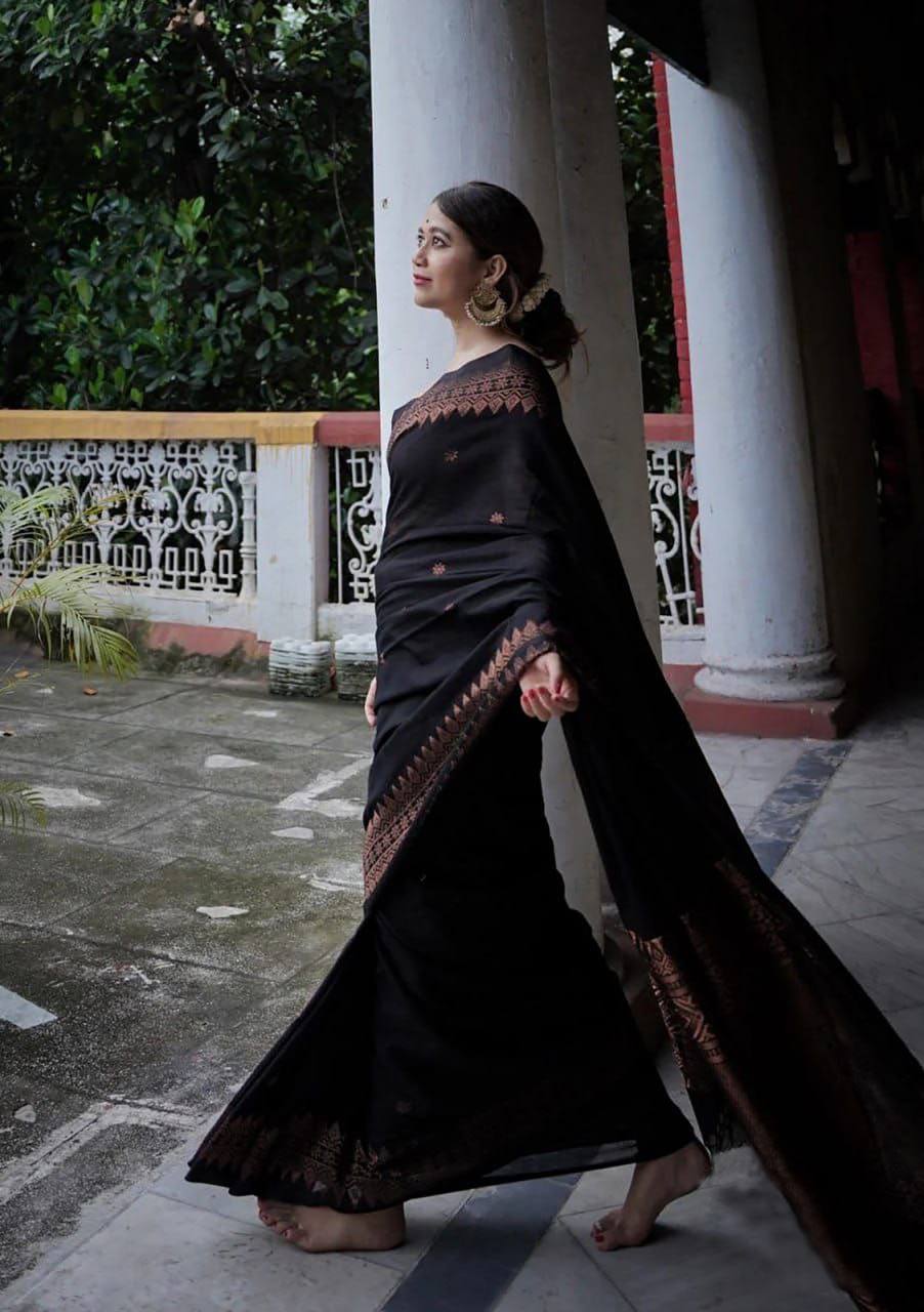 Black Tissue Saree with Copper Border and Ethnic Motifs