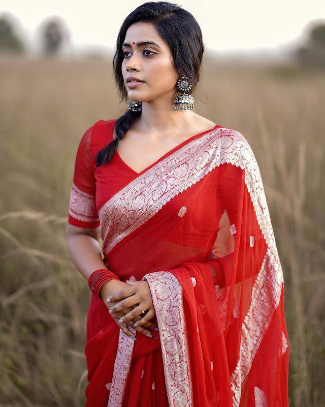 Red Georgette Saree with Embroidered Border