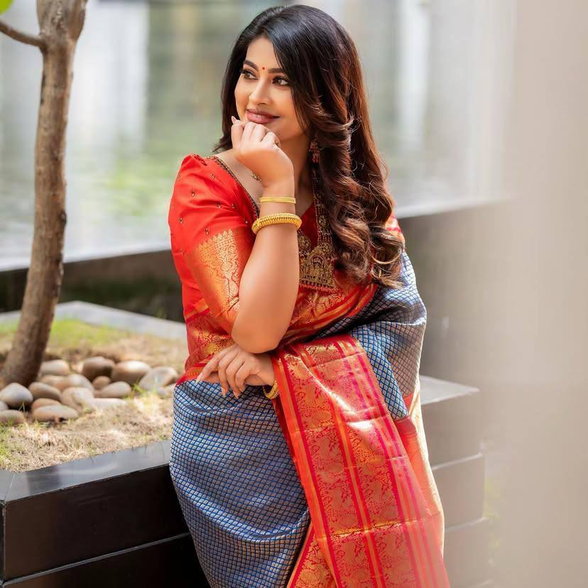 Black Checkered Silk Saree with Red Border and Golden Zari Work