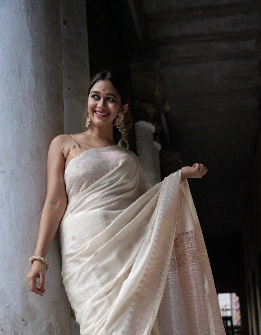 Elegant Off White Handloom Saree with Woven Border