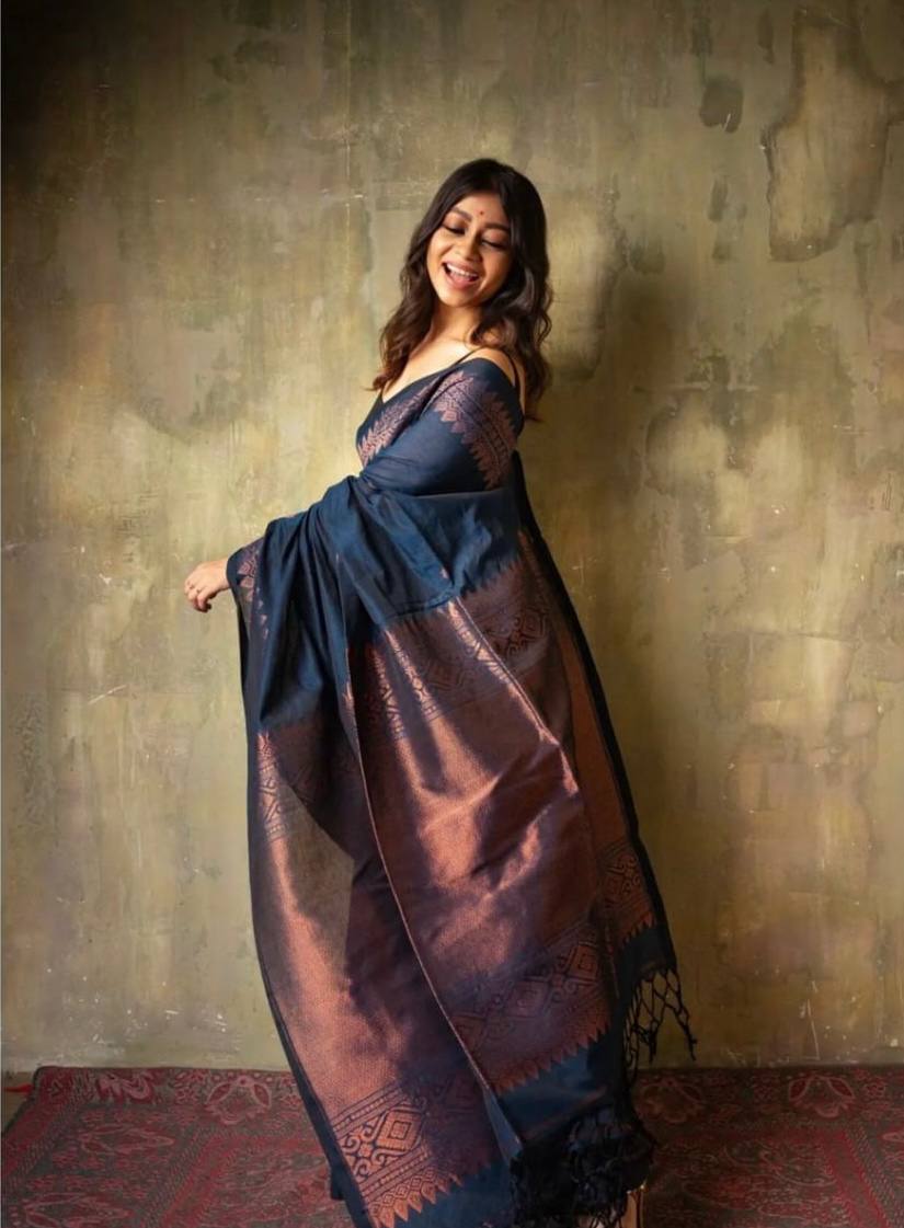 Navy Blue Embroidered Saree with Traditional Border