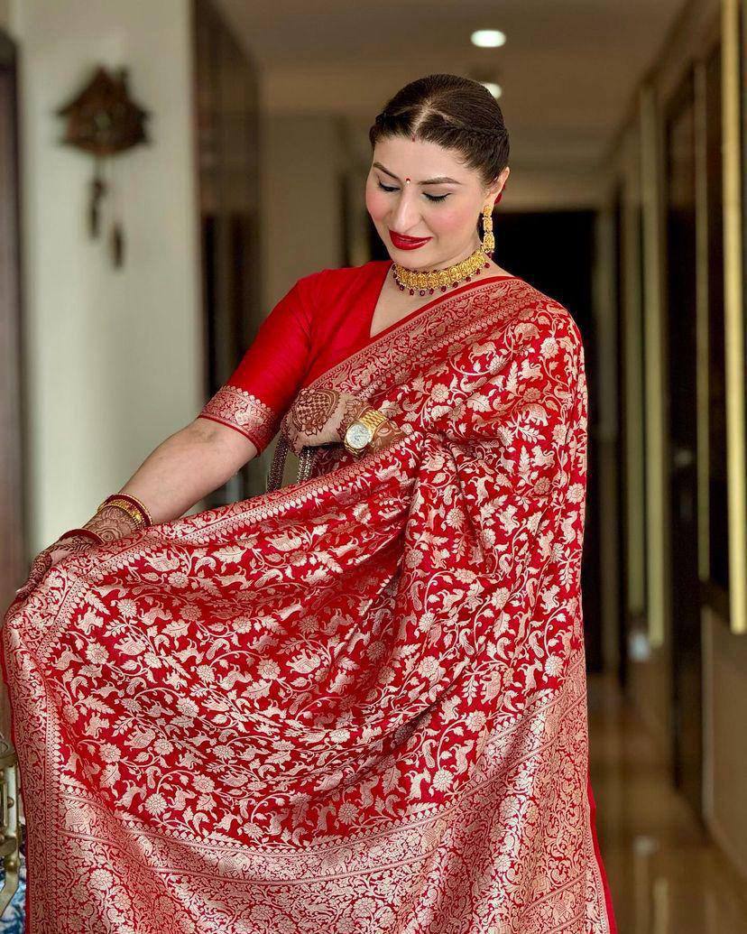 Red Banarasi Silk Saree with Intricate Zari Work