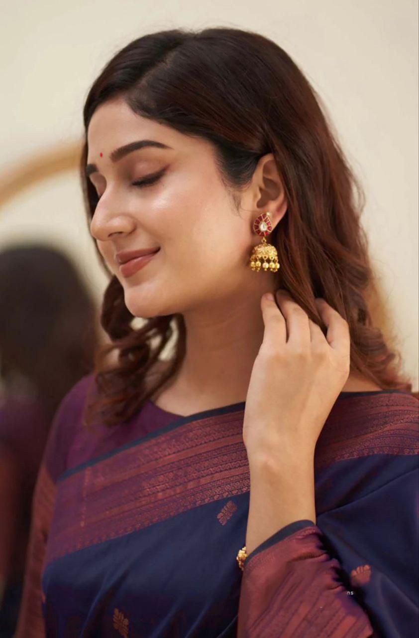 Navy Blue Silk Saree with Maroon Border and Pallu