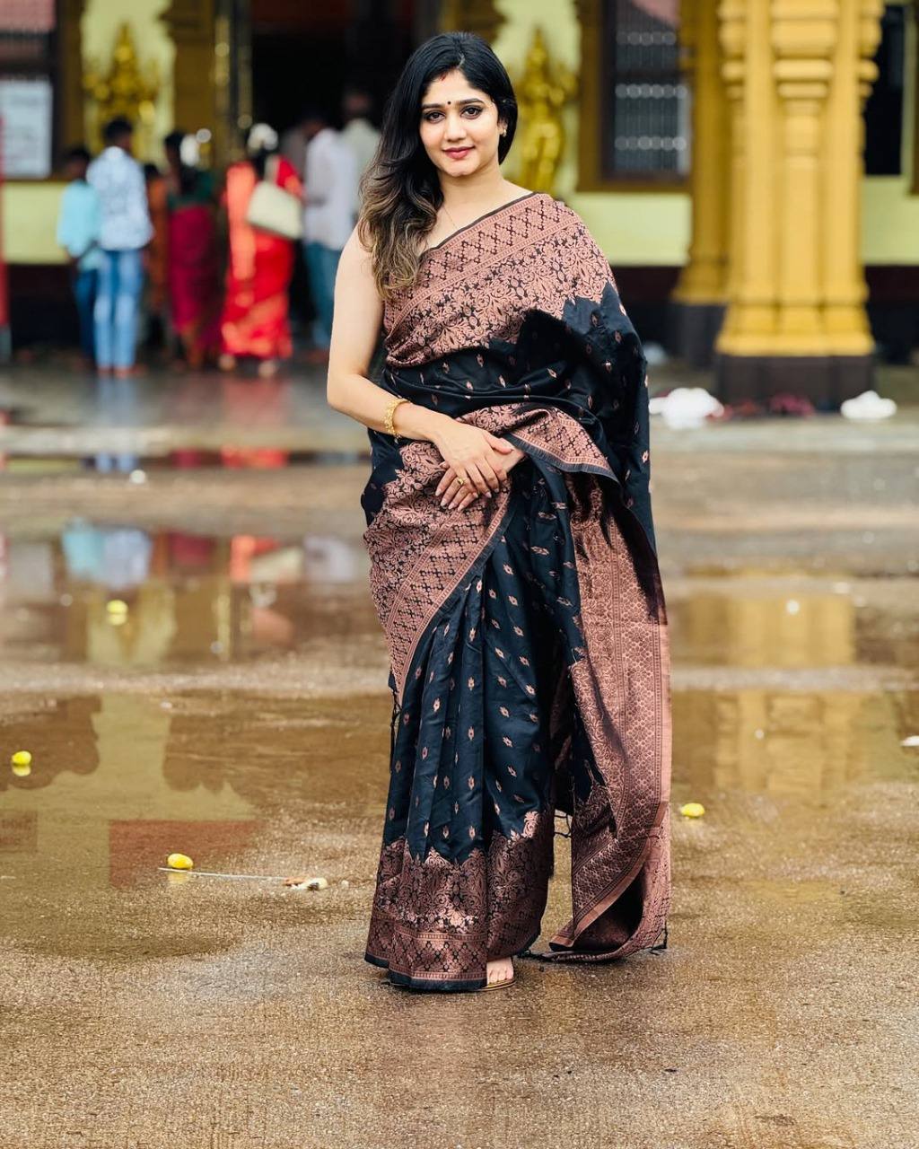 Black Silk Saree with Golden Brocade Work and Rich Border