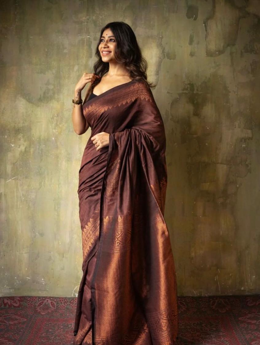 Brown Kanjivaram Silk Saree with Golden Zari Border