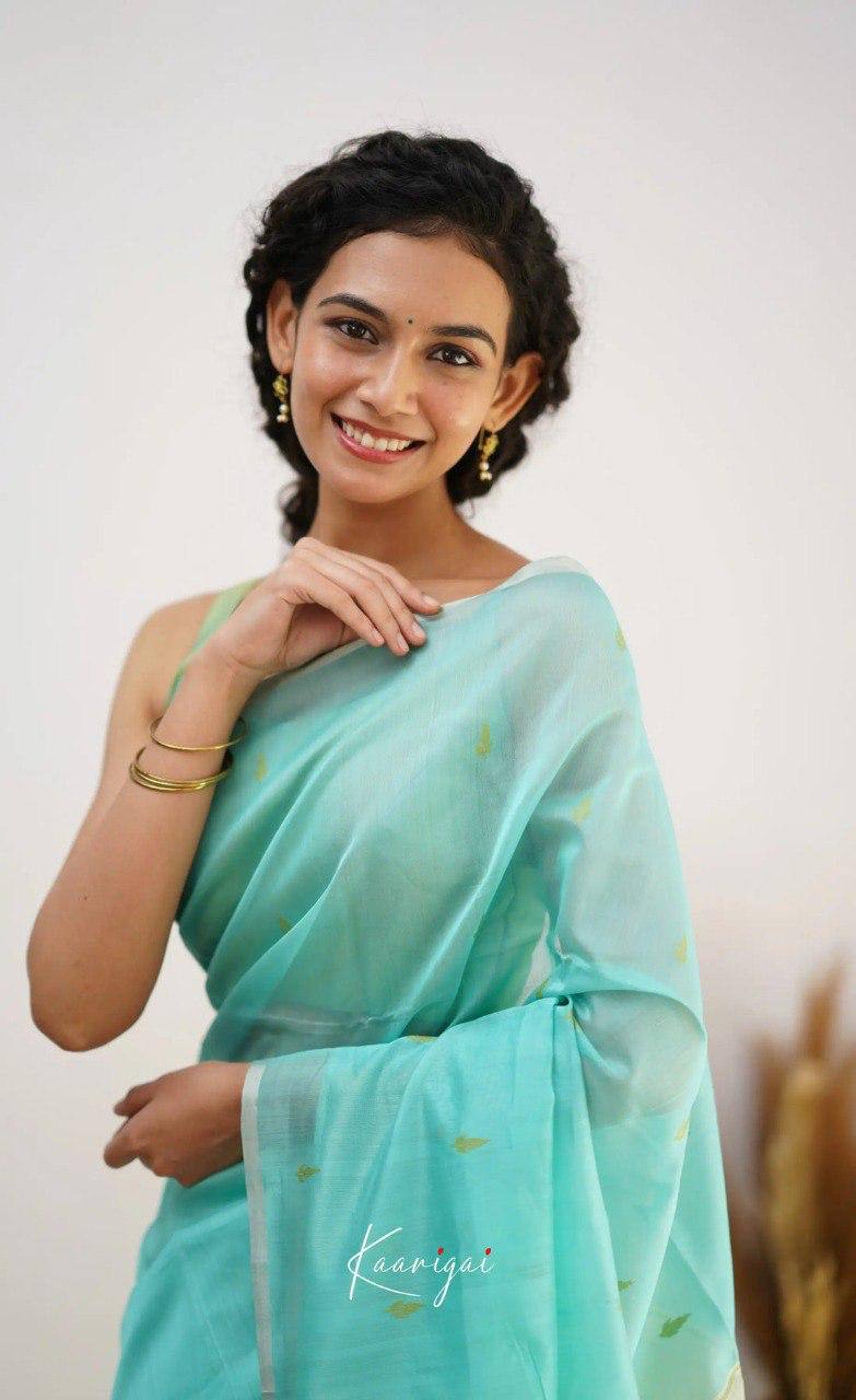 Mint Green Organza Saree with Golden Motifs and Yellow Border