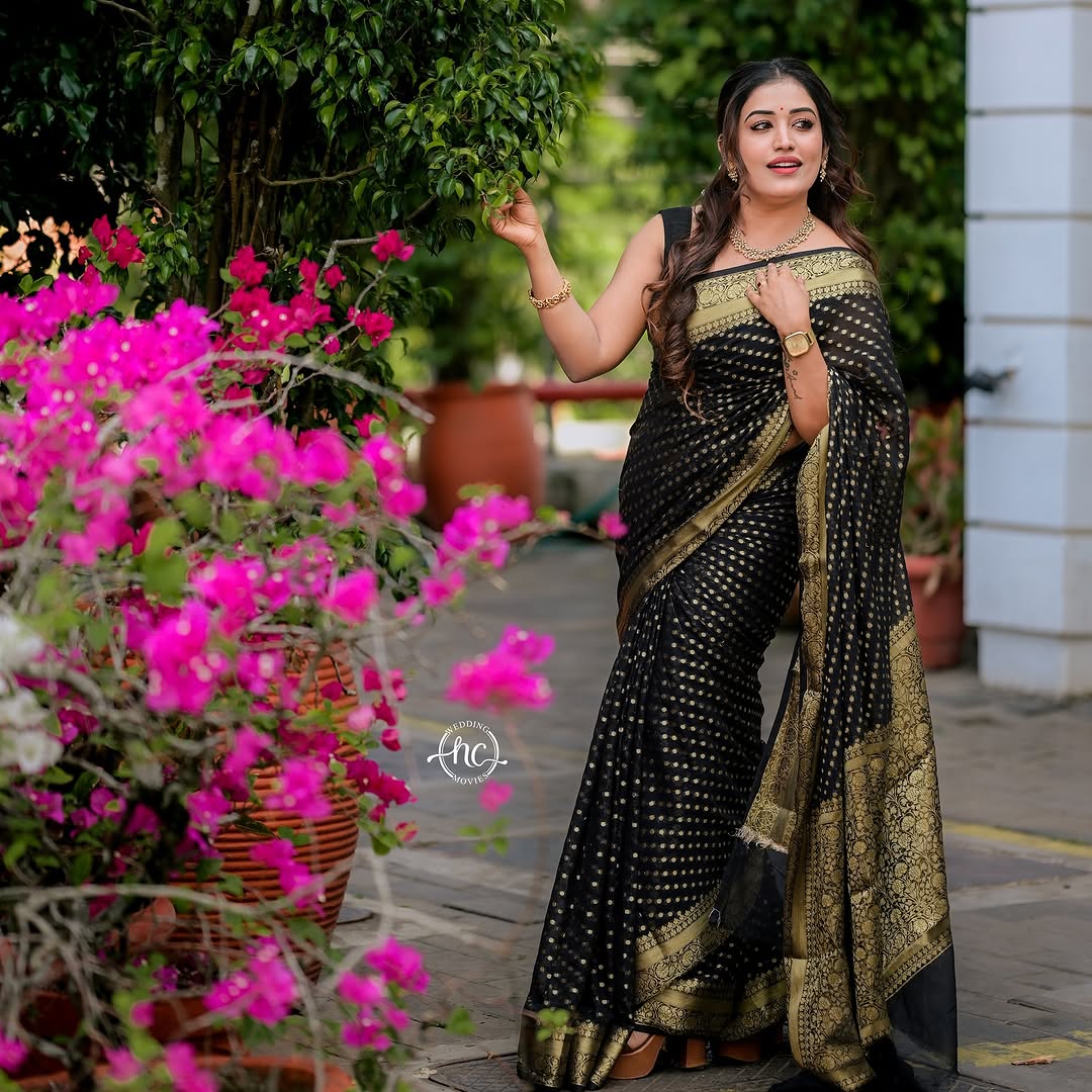 Elegant Black Saree with Golden Border and Sequin Work