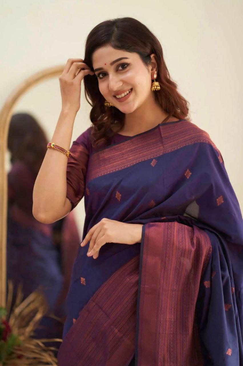 Navy Blue Silk Saree with Maroon Border and Pallu