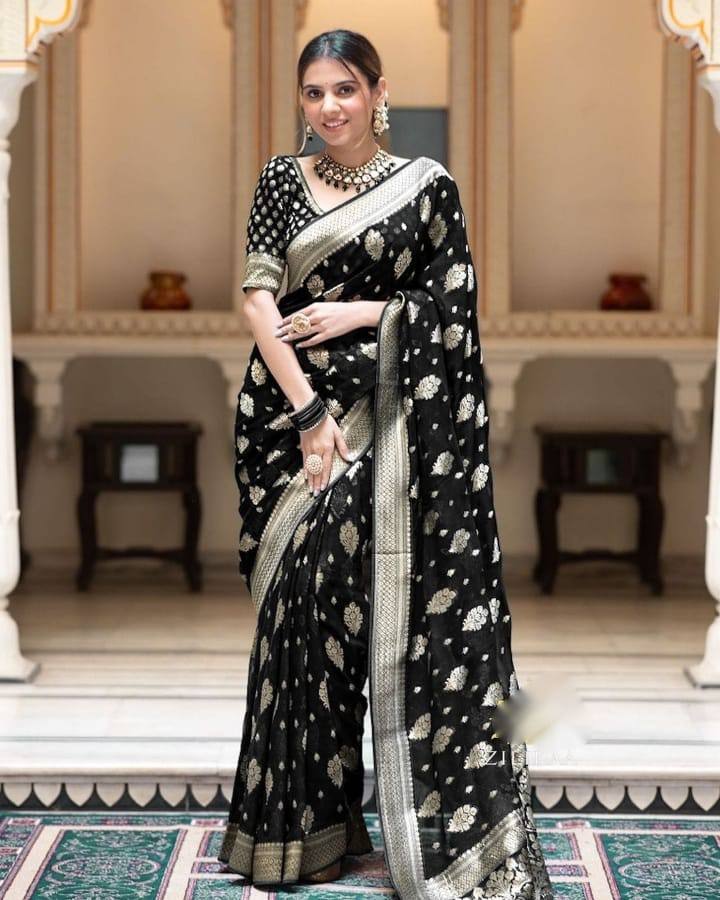 Black Banarasi Silk Saree with Silver Zari Buti Work