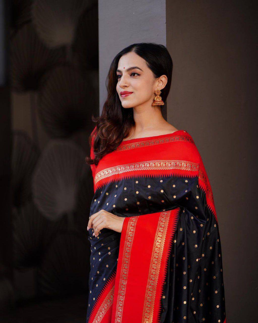 Black Silk Saree with Red Border and Golden Embroidery
