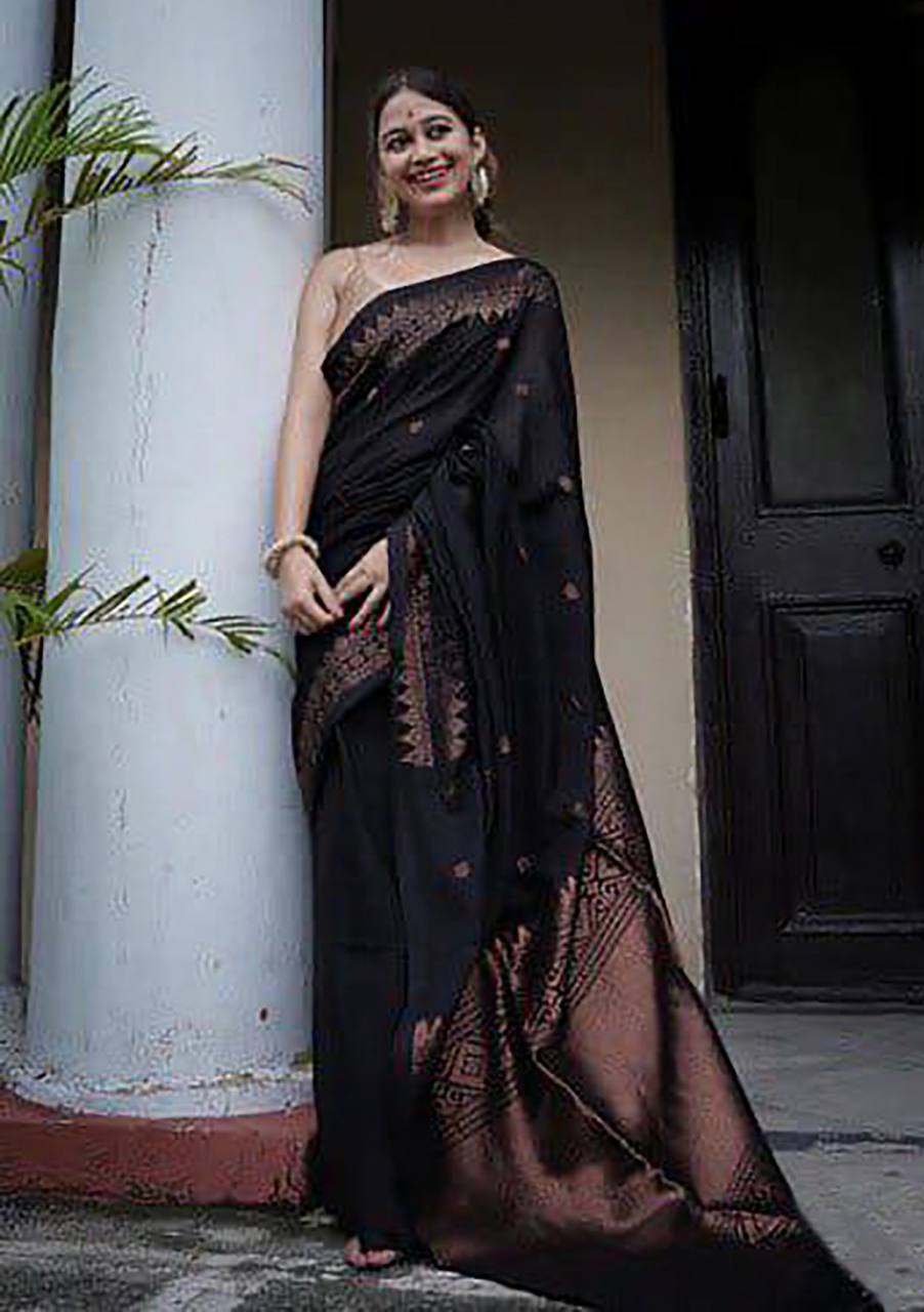 Black Tissue Saree with Copper Border and Ethnic Motifs