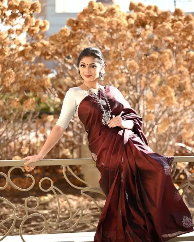 Maroon Silk Saree with Floral Embroidered Motifs and Matching Blouse
