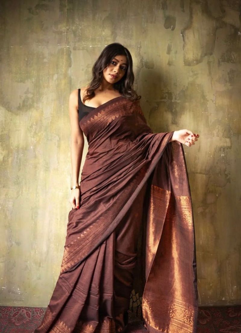 Brown Kanjivaram Silk Saree with Golden Zari Border