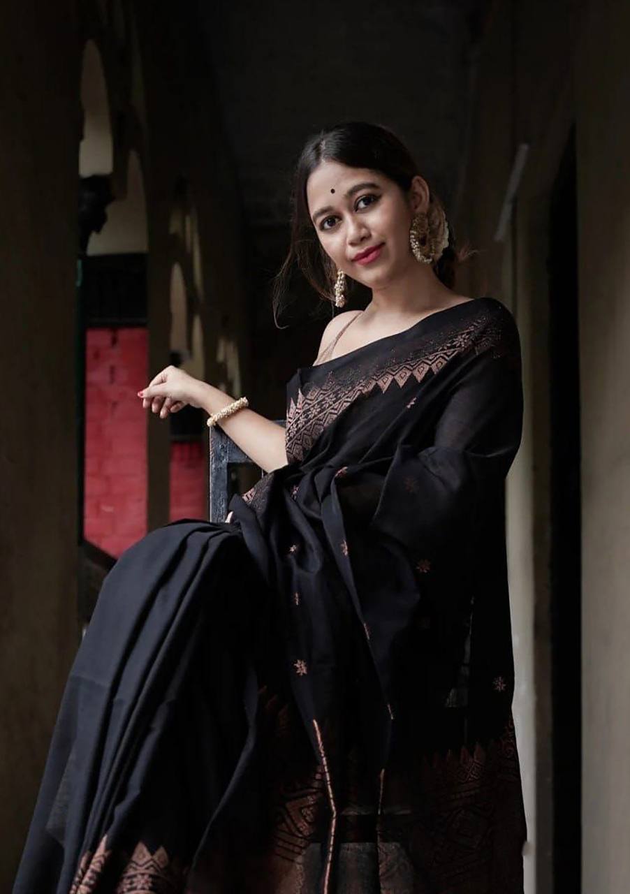 Black Tissue Saree with Copper Border and Ethnic Motifs