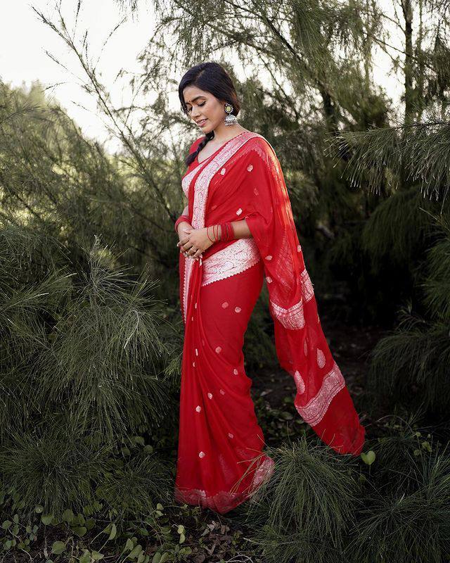 Red Georgette Saree with Embroidered Border